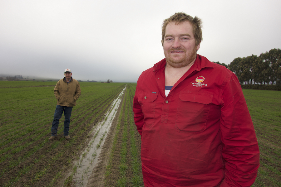 Agronomic finesse underpins winning crop - Sixth-generation Weatherboard grower Ben Findlay produced an award-winning wheat crop, pushing above 10 tonnes per hectare, on his family's farm near Ballarat, Victoria. Photo: Clarisa Collis